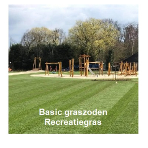 Natuur graszoden