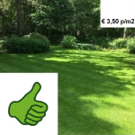 Premium speel-schaduwgras 