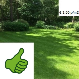 Premium speel-schaduwgras 