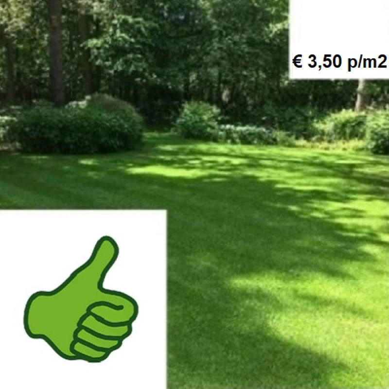 Premium speel-schaduwgras 