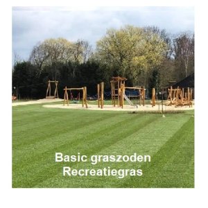 Basic graszoden / recreatiegras