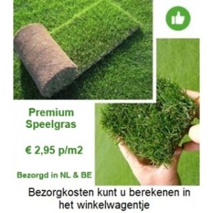 Herbe de jeu premium + fertilisation gratuite