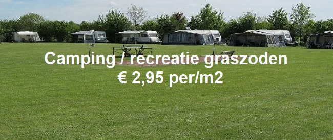 Recreatiegras graszoden – campinggras voor intensief gebruik