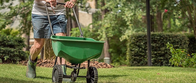 Gazon bemesten in de zomer