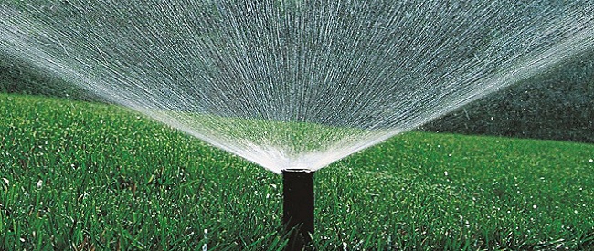 Gazon sproeien met sproeier voor een gezond en groen gazon