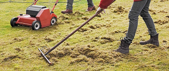 Gazon verticuteren om vilt en mos te verwijderen