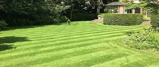 Donkergroen gazon na goed gazononderhoud