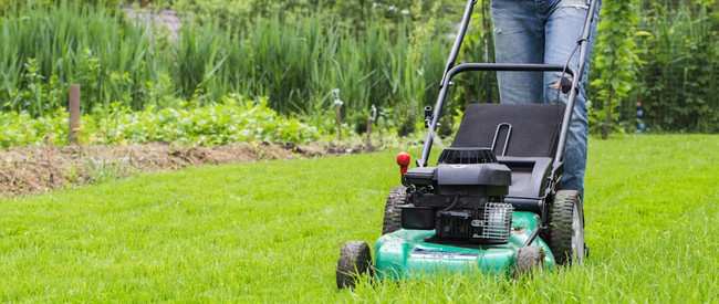 Grasmaaien van een gezond gazon met duidelijke maaibanen