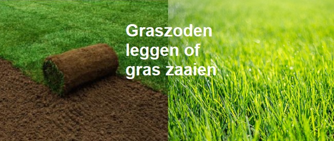 graszoden leggen of graszaaien