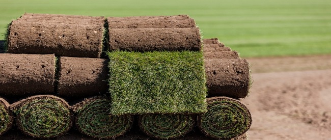 Graszoden kwekerij, graszoden op pallet