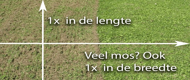 Hoe moet je het gazon verticuteren