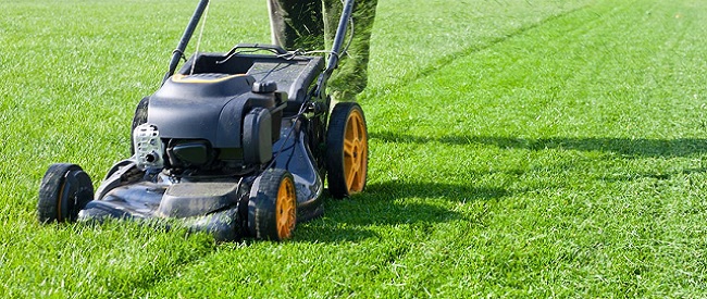 Onderhoud van een speelgazon door maaien