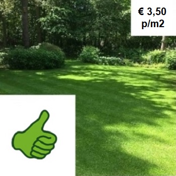 Premium speel-schaduwgras graszoden