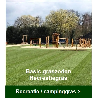 campinggras Brabant, recreatie gras Brabant, goedkope graszoden Brabant, graszoden bezorgen Brabant