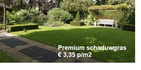 schaduwgras kopen, schaduwgras bezorgen, schaduwgras, schaduwgras bestellen