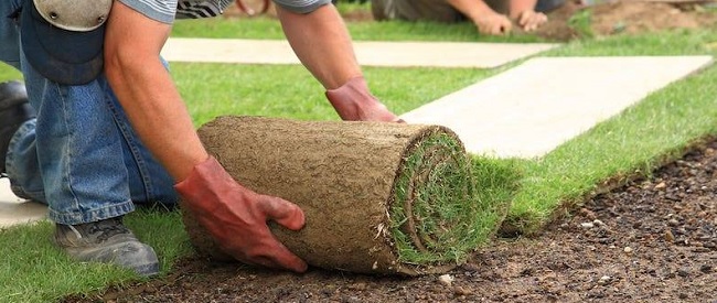 Zelf een speelgazon aanleggen met verse graszoden